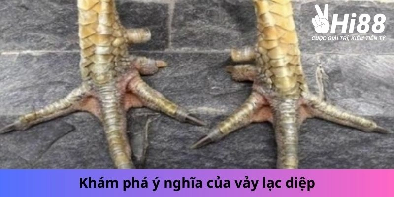 Ý nghĩa của vảy lạc diệp